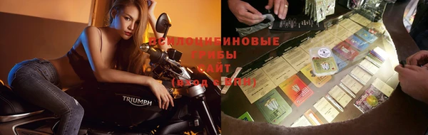 ECSTASY Нефтекумск
