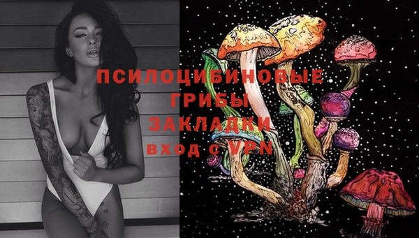 спайс Надым
