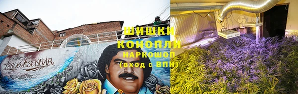 ECSTASY Нефтекумск