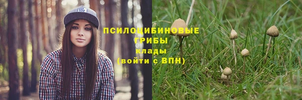 кристаллы Нея
