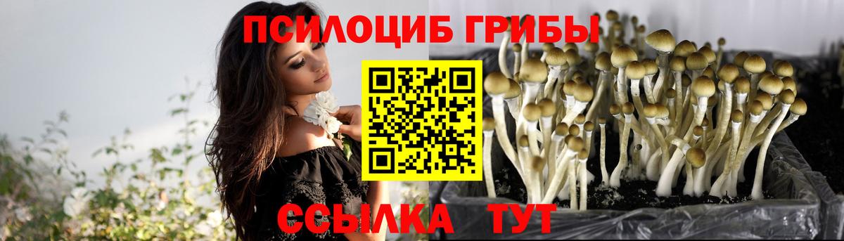 Псилоцибиновые грибы GOLDEN TEACHER  Вход с VPN  Псилоцибиновые грибы Cubensis  Лабытнанги 